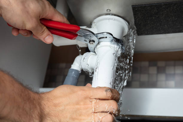 Best Carpet water damage restoration  in Whitehall, MI