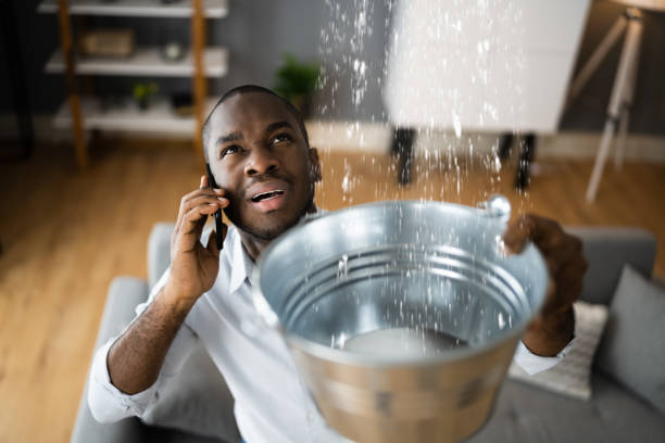 Best Residential water damage restoration  in Whitehall, MI