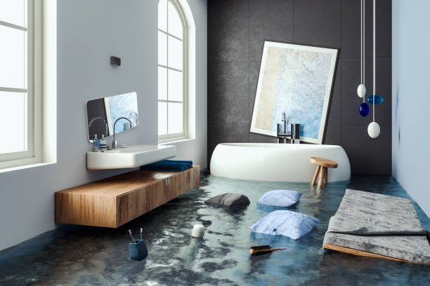  Whitehall, MI Water damage restoration Pros