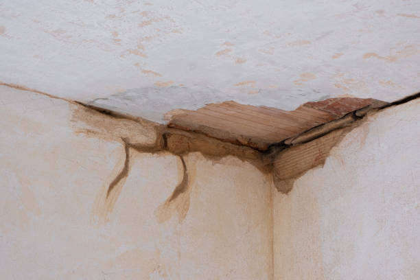 Best Water damage restoration company  in Whitehall, MI