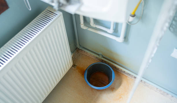 Best Water damage restoration near me  in Whitehall, MI