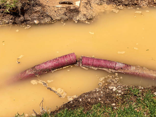 Best Professional water damage repair  in Whitehall, MI