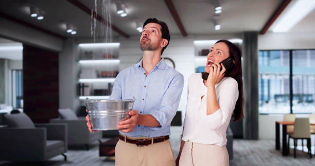 Best 24-hour water damage restoration  in Whitehall, MI